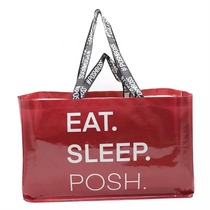 Pp Woven IKEA Style Shopping Bag